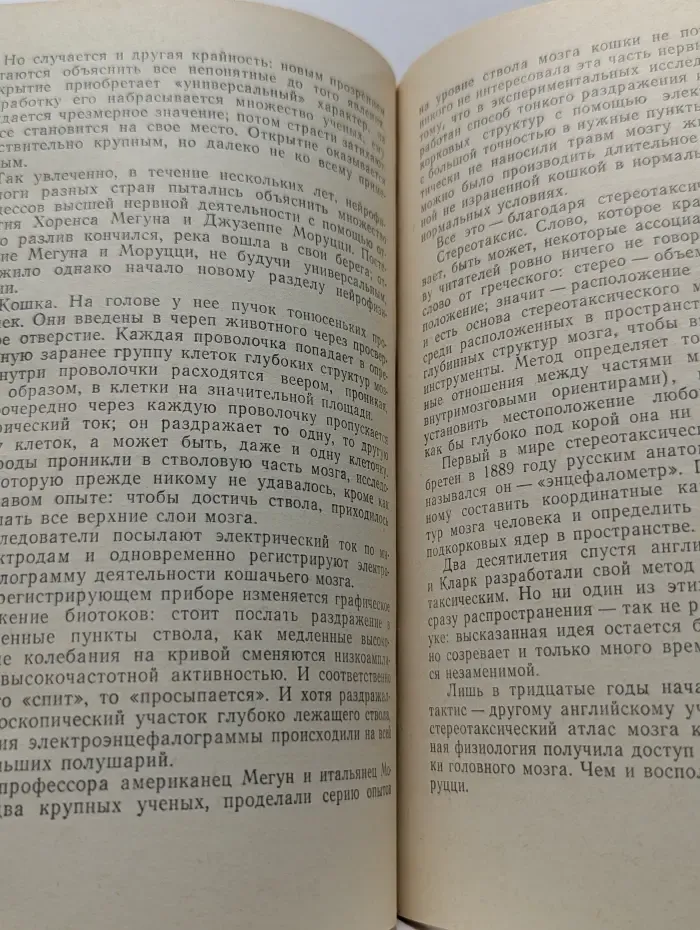 Жизнь замечательных идей. Тайны, догадки, прозрения