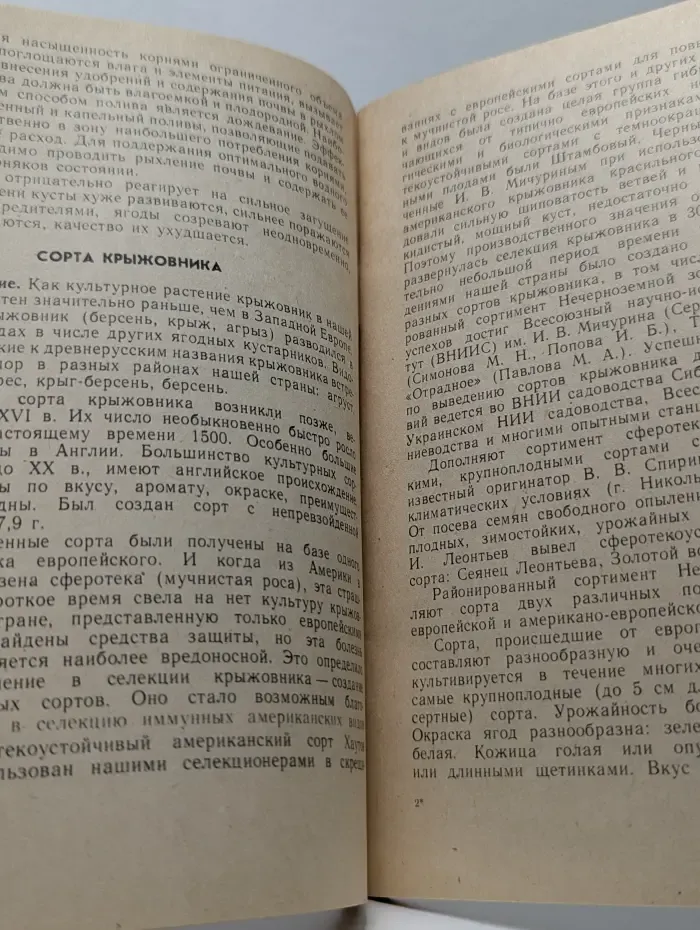 Крыжовник