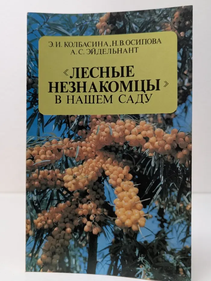 Лесные незнакомцы в нашем саду