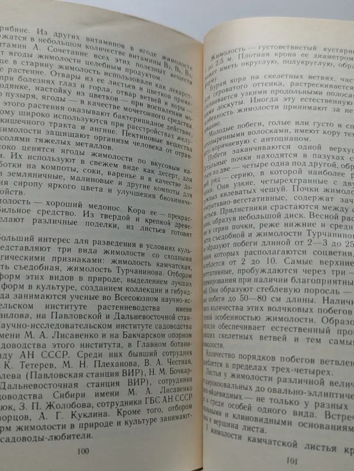Лесные незнакомцы в нашем саду