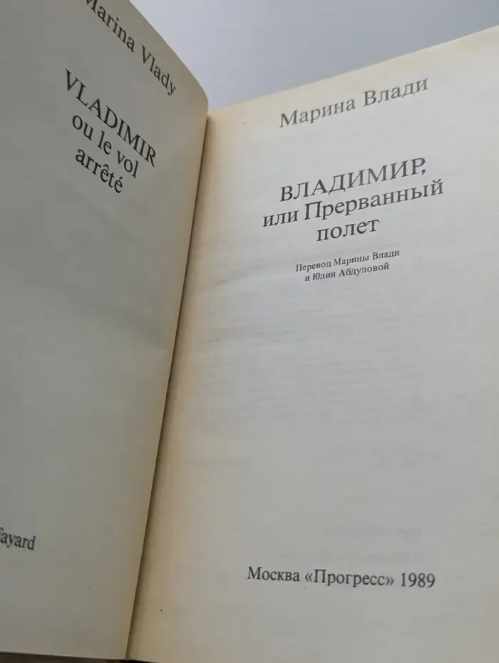 Владимир, или Прерванный полет