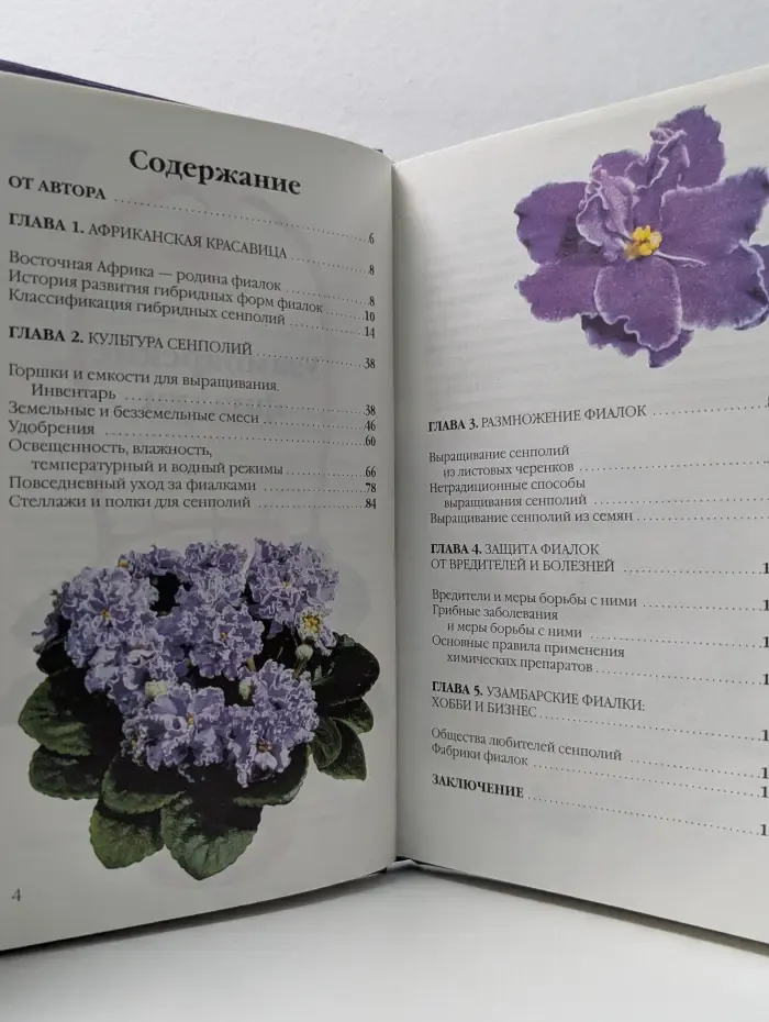 Узамбарские фиалки