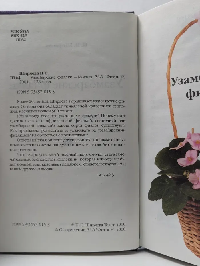 Узамбарские фиалки