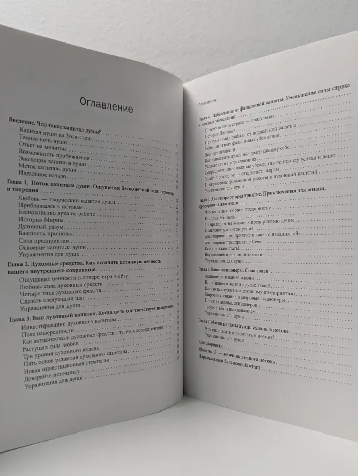 Бизнес-Магия. Духовный капитал. Инвестиции нравственных ценностей как способ достичь благополучия