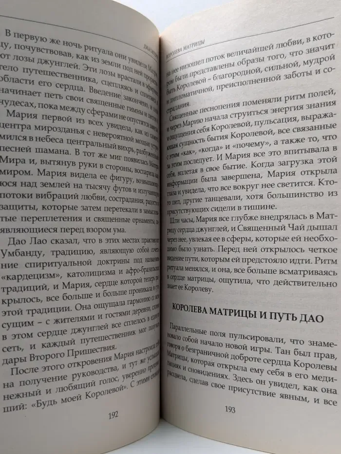 Будущее земли. Королева матрицы. Книга 1