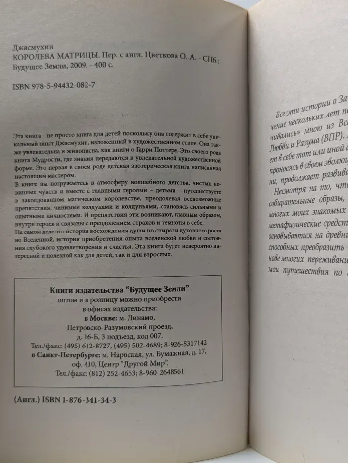 Будущее земли. Королева матрицы. Книга 1