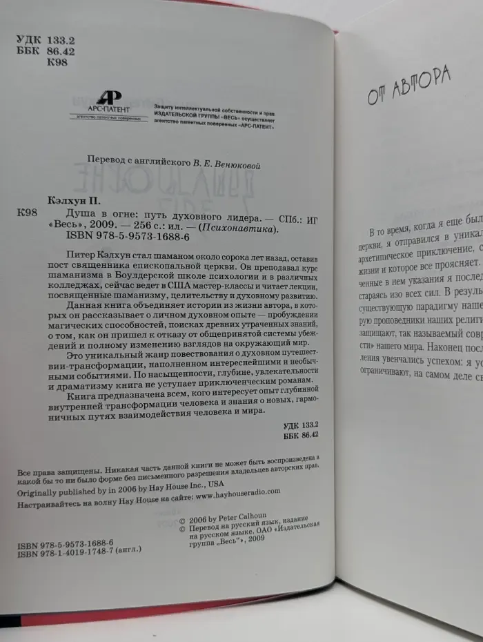 Психонавтика. Душа в огне. Путь духовного лидера