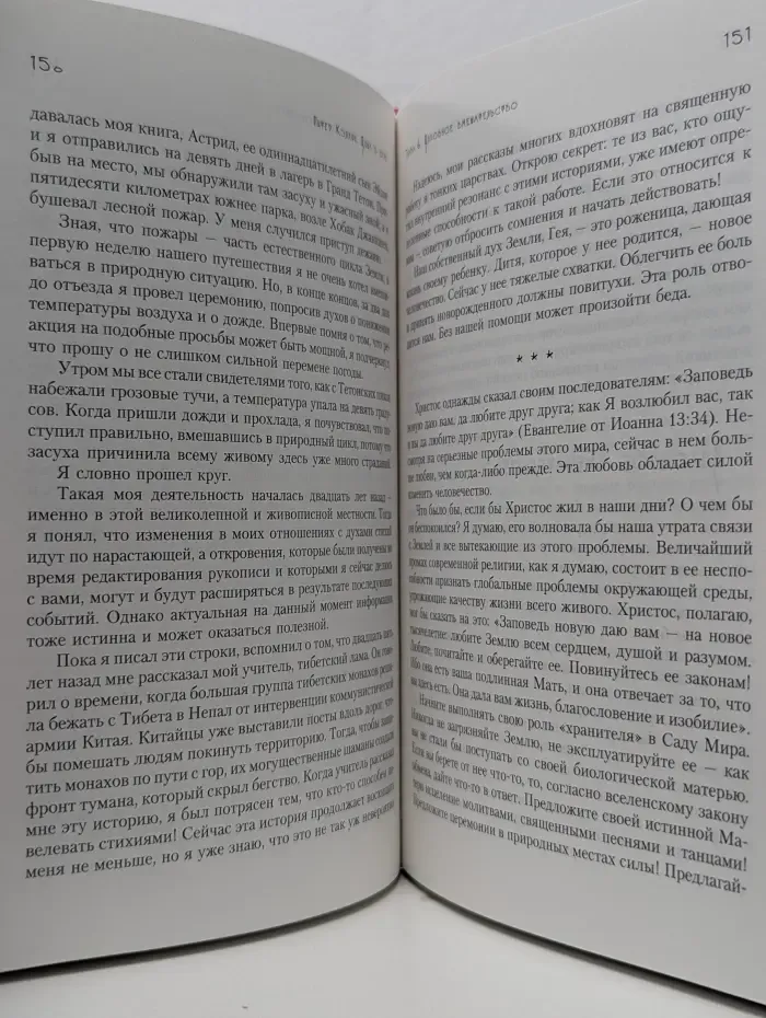 Психонавтика. Душа в огне. Путь духовного лидера