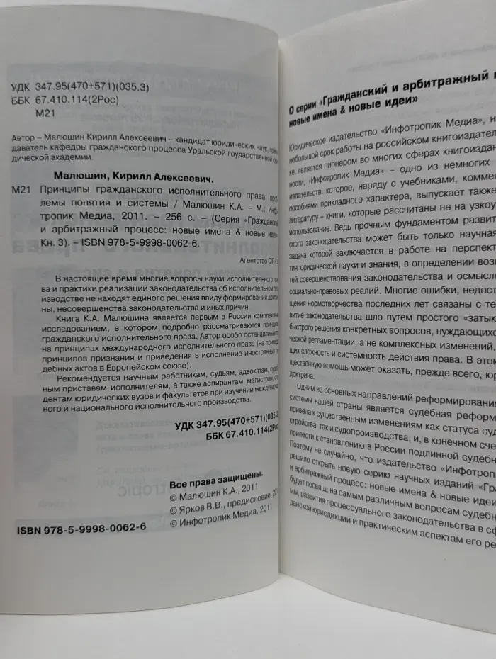 Принципы гражданского исполнительного плана. Проблемы понятия и системы. Книга 3