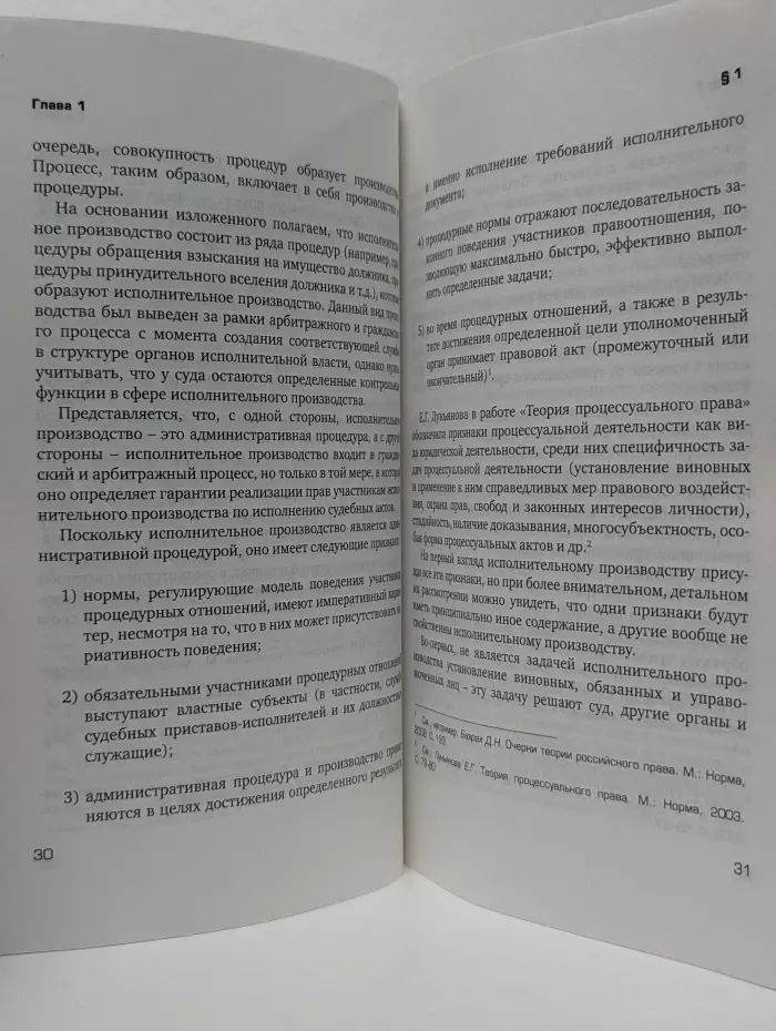 Принципы гражданского исполнительного плана. Проблемы понятия и системы. Книга 3
