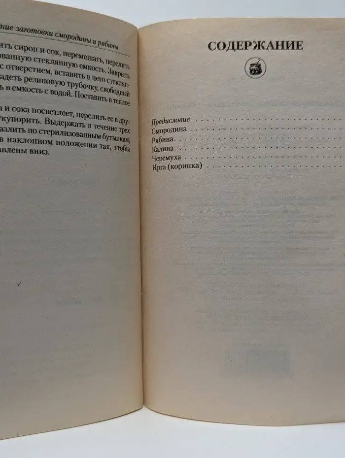 Очень просто! Домашние заготовки смородины и рябины