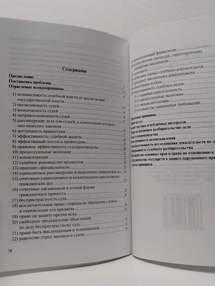 Современное понимание принципов гражданского и арбитражного процесса