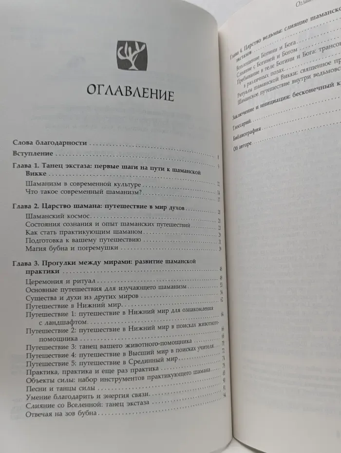 Мистический опыт экстаза. Шаманские практики народов мира