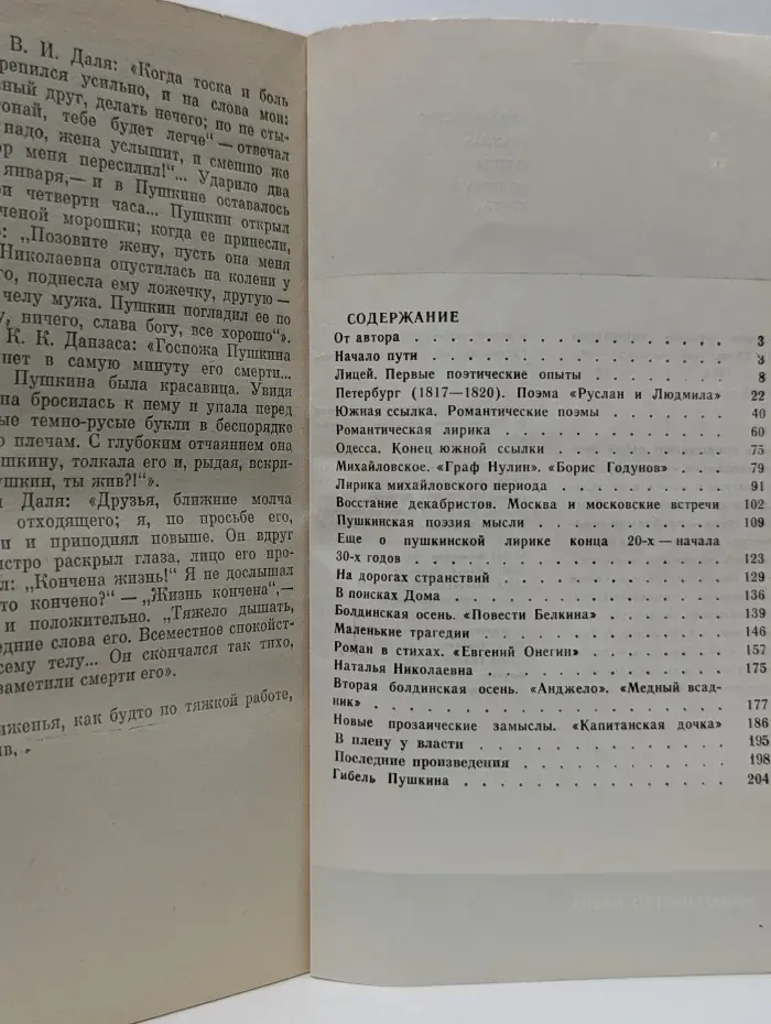 Литературоведение и языкознание. Пушкин. Жизнь и творчество