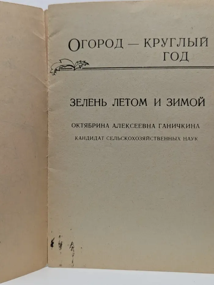 Зелень летом и зимой