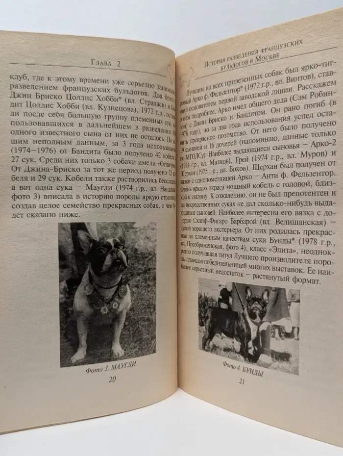 Верные друзья. Французский бульдог. Стандарт. Содержание. Разведение. Профилактика заболеваний