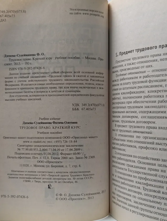 Трудовое право. Краткий курс