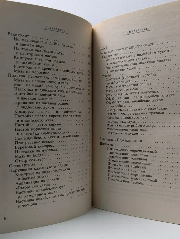 Кладовые природы. Индийский лук против всех болезней