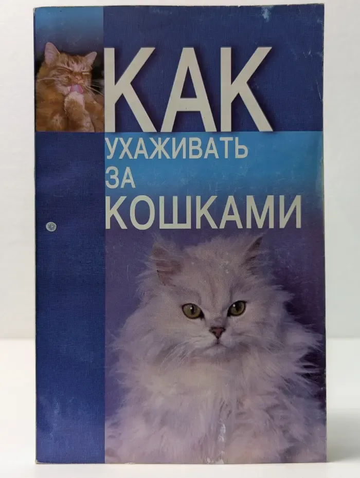 Как ухаживать за домашними кошками