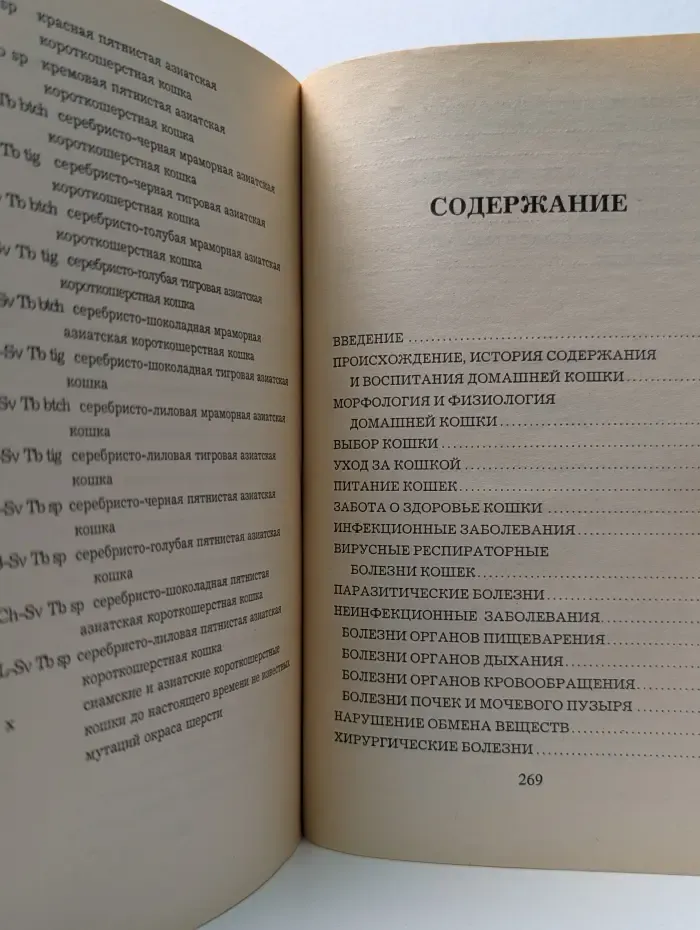 Как ухаживать за домашними кошками