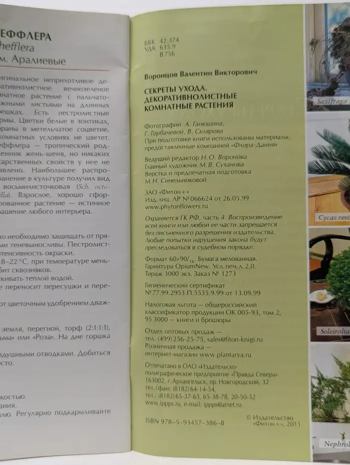 Секреты ухода. Декоративнолистные комнатные растения