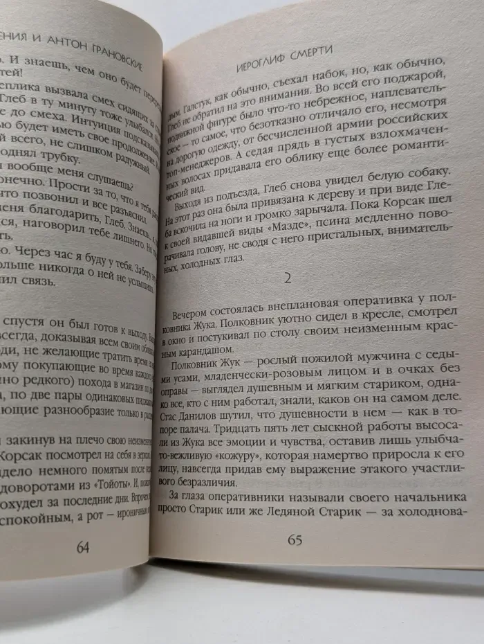 Детектив-лабиринт Евгении и Антона Грановских. Иероглиф смерти