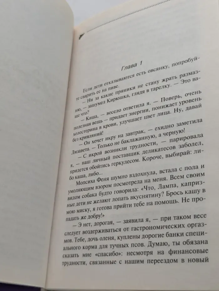 Иронический детектив. Фэн-шуй без тормозов