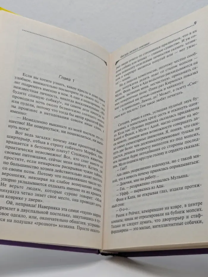 Иронический детектив. Фигура легкого эпатажа