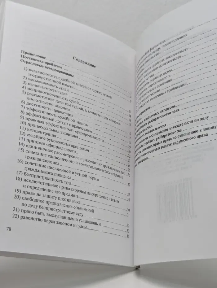 Современное понимание принципов гражданского и арбитражного процесса