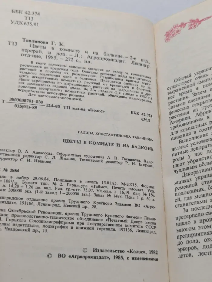 Цветы в комнате и на балконе