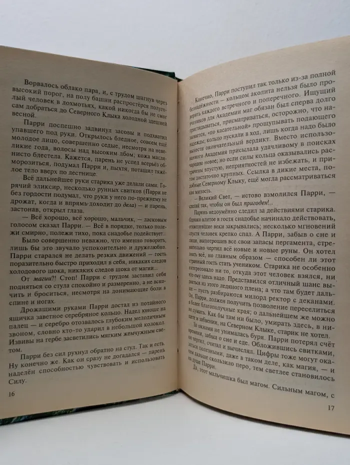 Хранитель мечей. Книга 1. Рождение мага