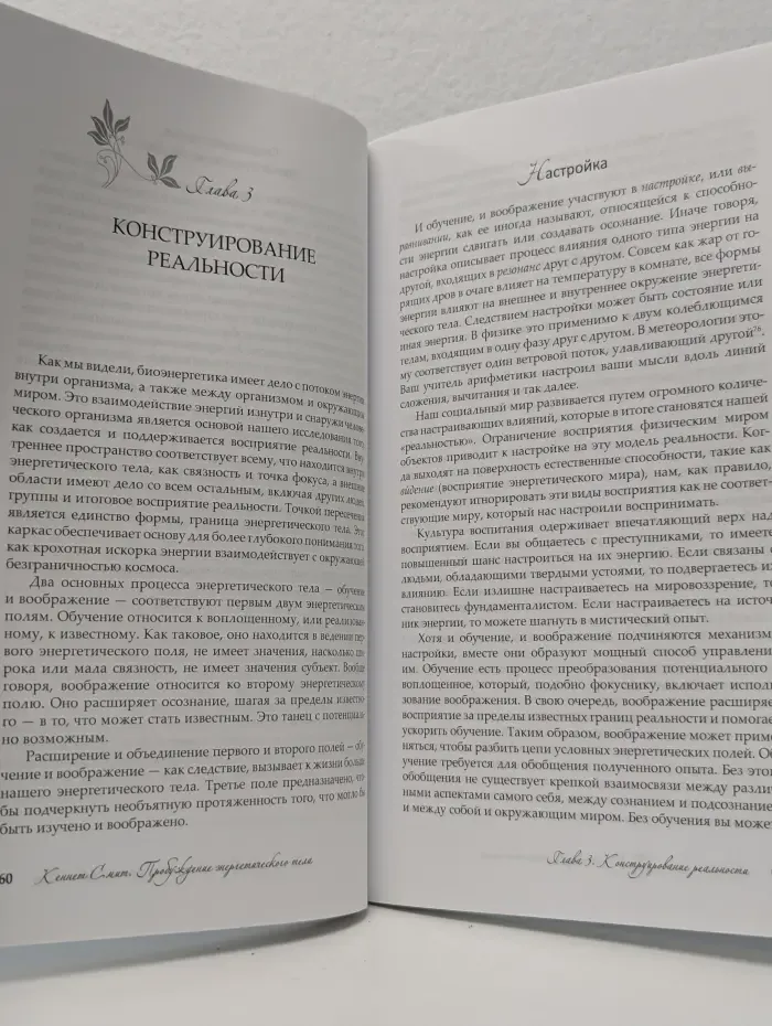 Алхимия исцеления. Пробуждение энергетического тела. От шаманизма к биоэнергетике
