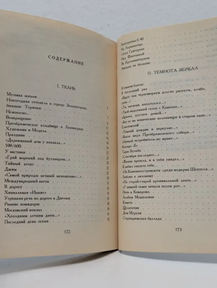 Темнота зеркал. Стихотворения и поэмы