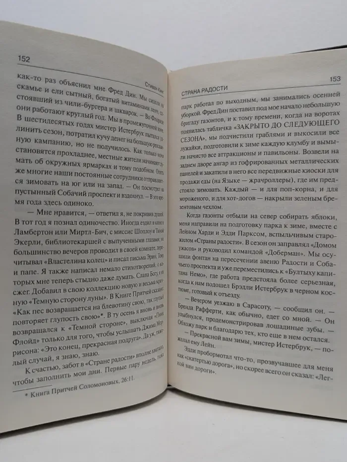 Темная башня. Страна радости