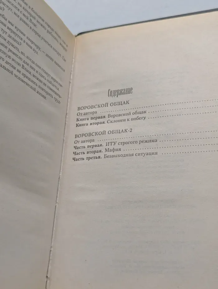 Воровской общак. Воровской общак-2 (Один на льдине)