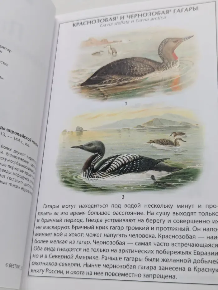 Иллюстрированный справочник. Птицы европейской части России