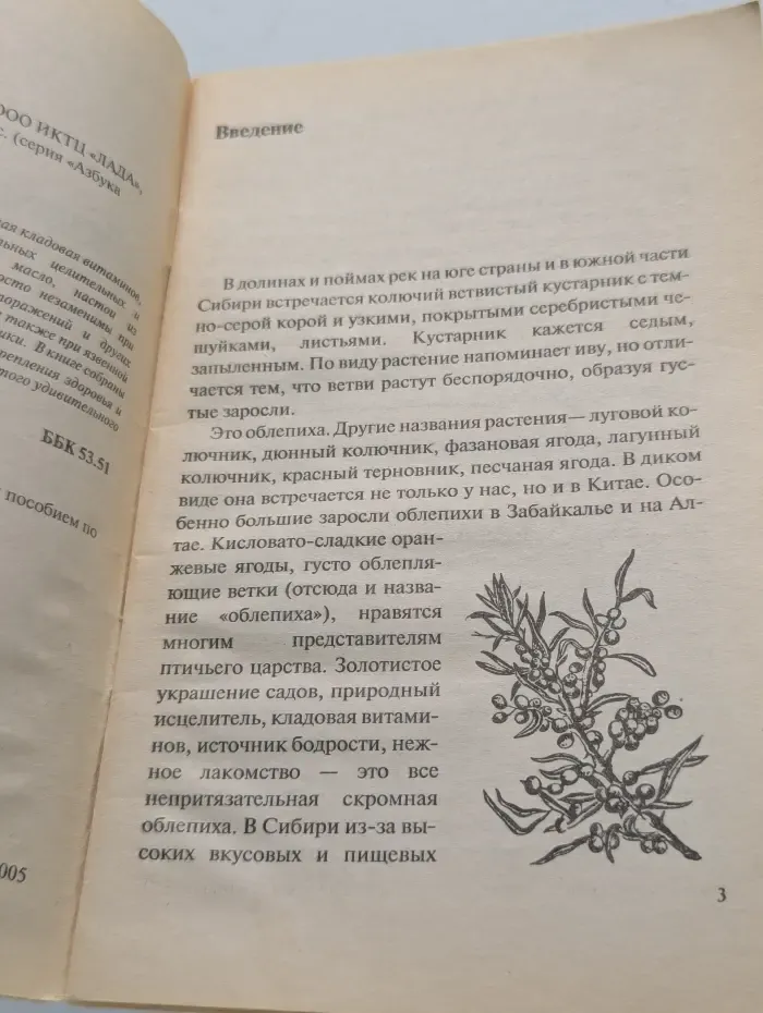 Азбука здоровья. Лечимся облепихой
