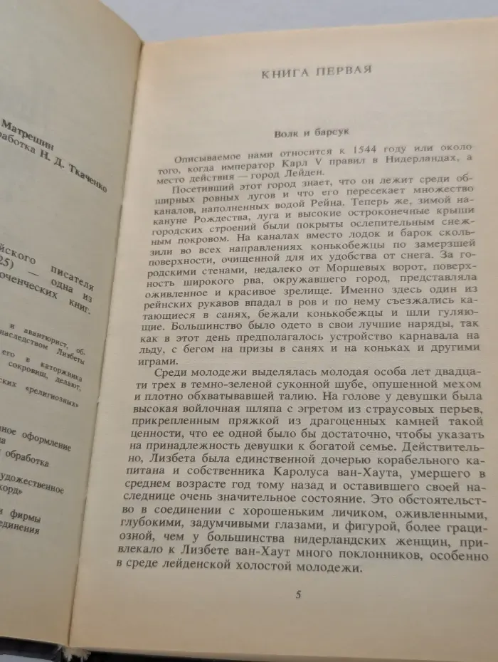 Исторический роман. Лейденская красавица