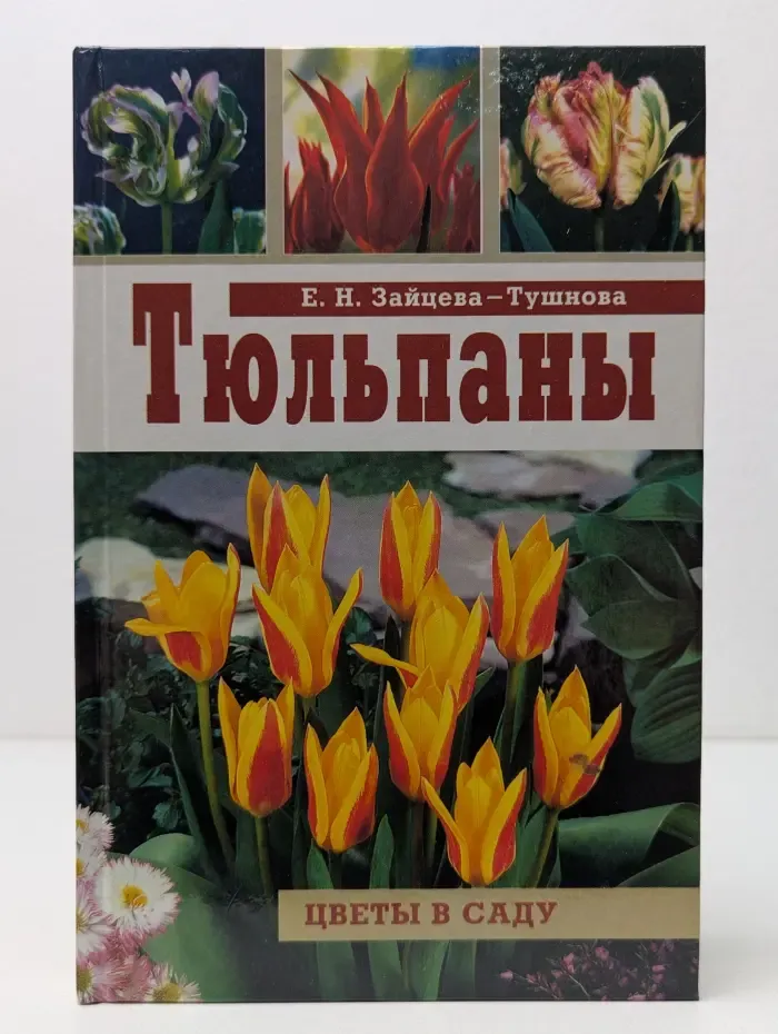 Тюльпаны