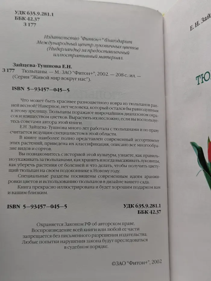 Тюльпаны