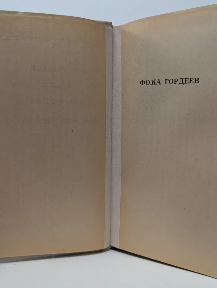 Школьная библиотека. Фома Гордеев. Дело Артамоновых