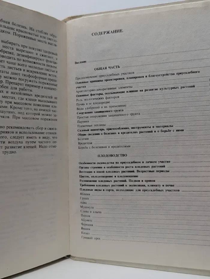 Приусадебный сад