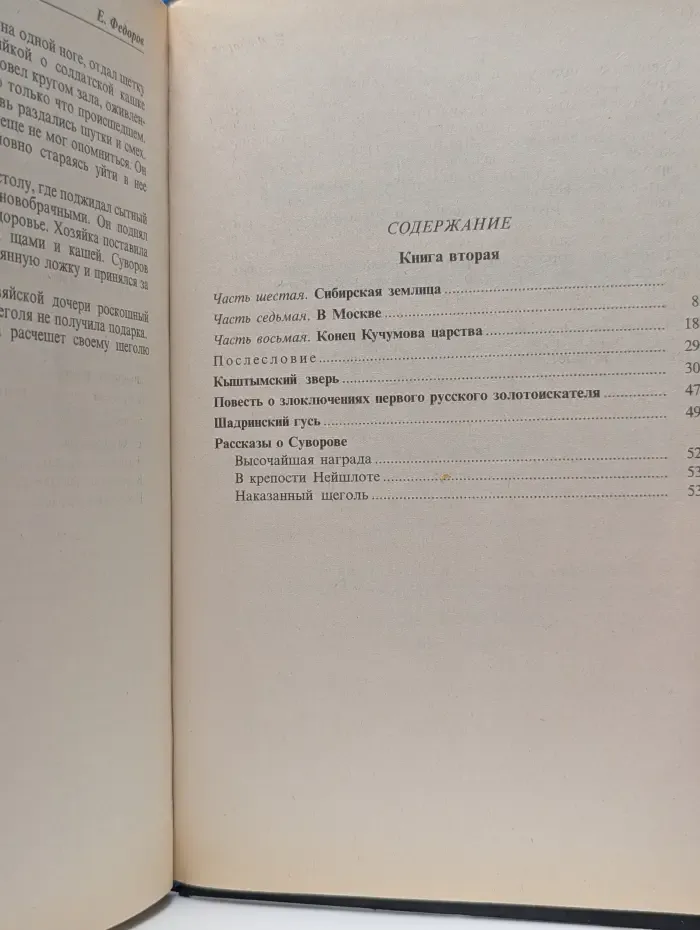 Ермак. В 2 книгах. Книга 2