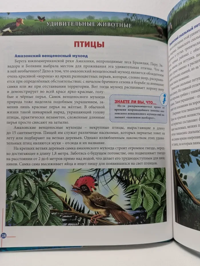 Знание-сила. Энциклопедия. Удивительные животные