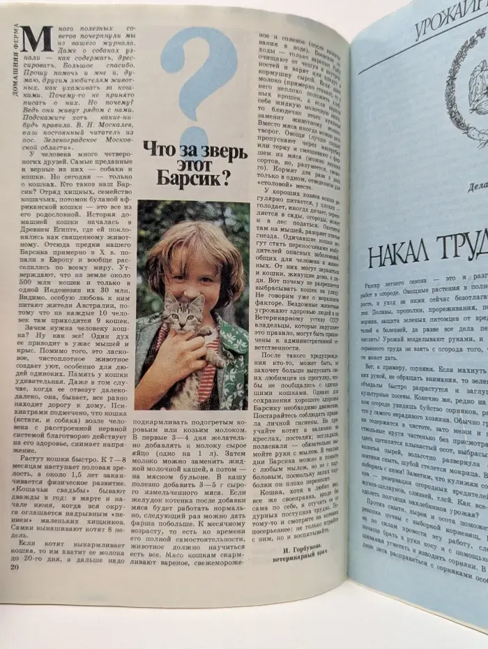 Приусадебное хозяйство. Выпуск № 3/1988