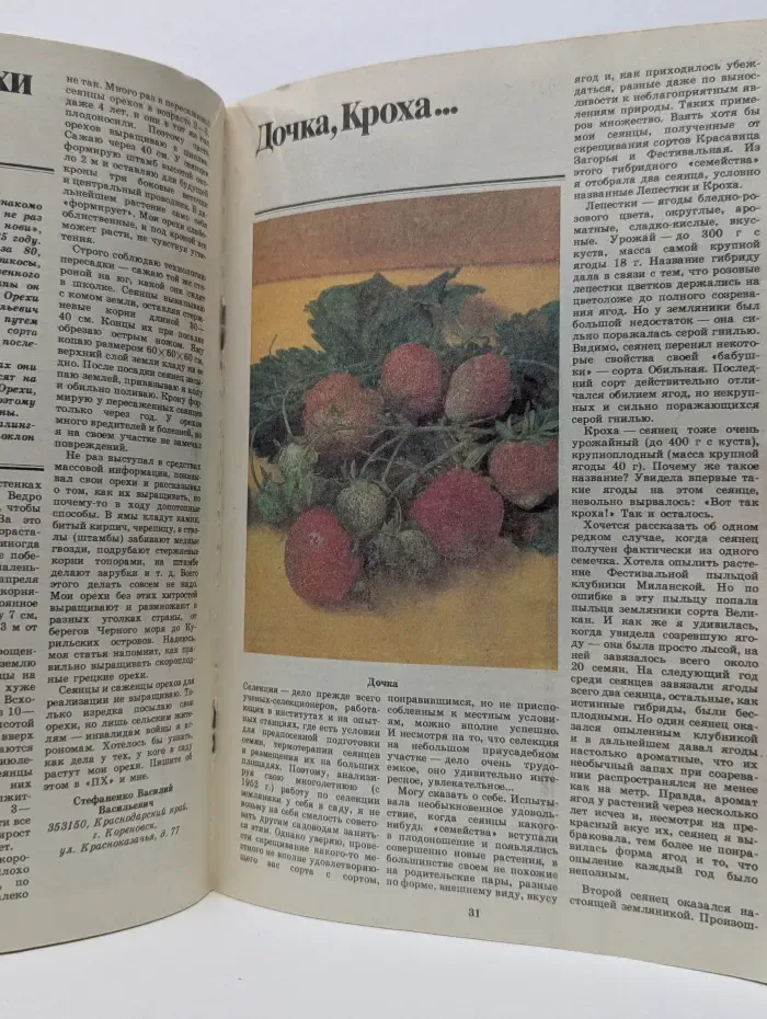 Приусадебное хозяйство. Выпуск № 6/1990