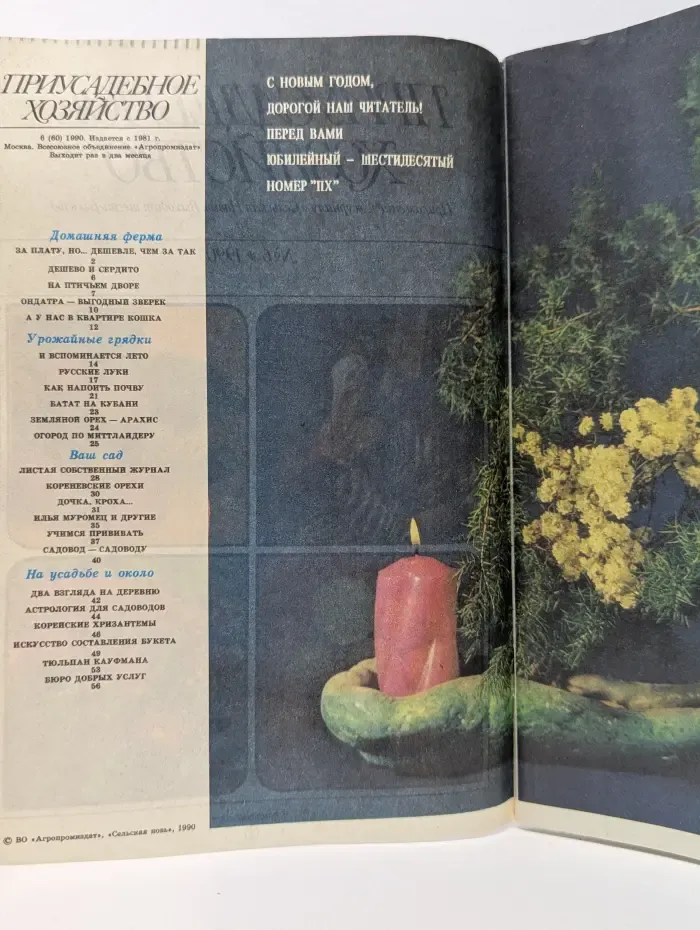 Приусадебное хозяйство. Выпуск № 6/1990