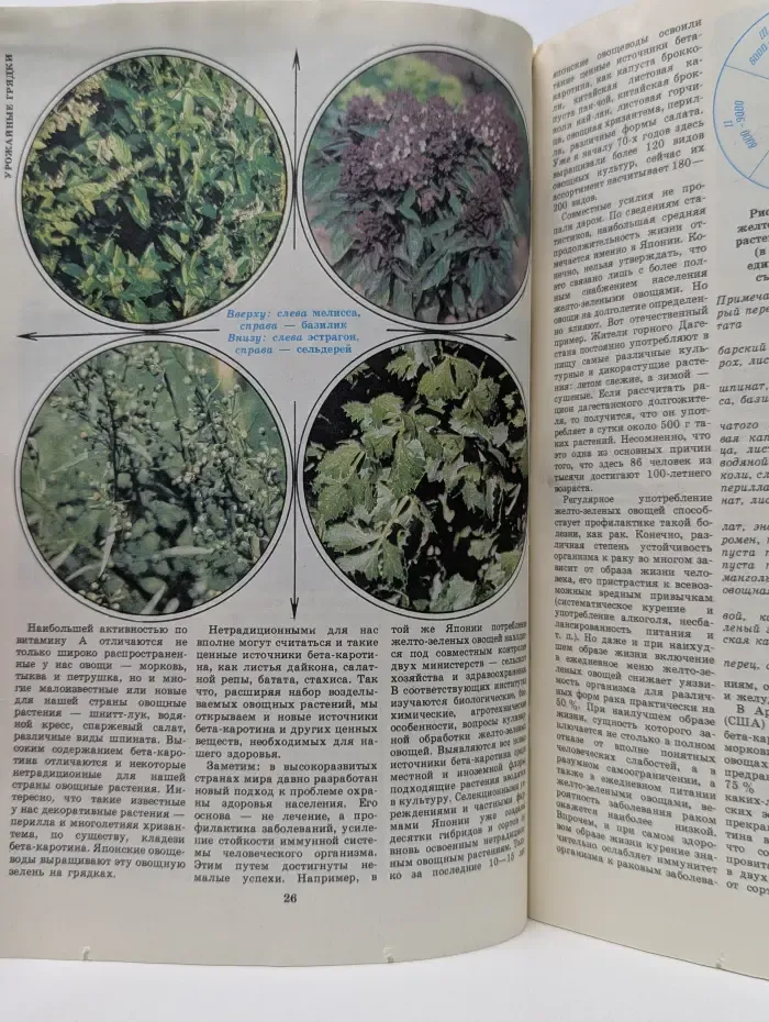 Приусадебное хозяйство. Выпуск № 5/1990