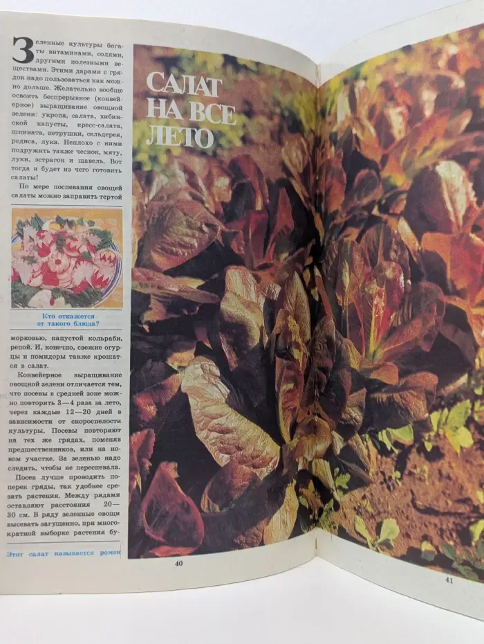 Приусадебное хозяйство. Выпуск № 1/1988