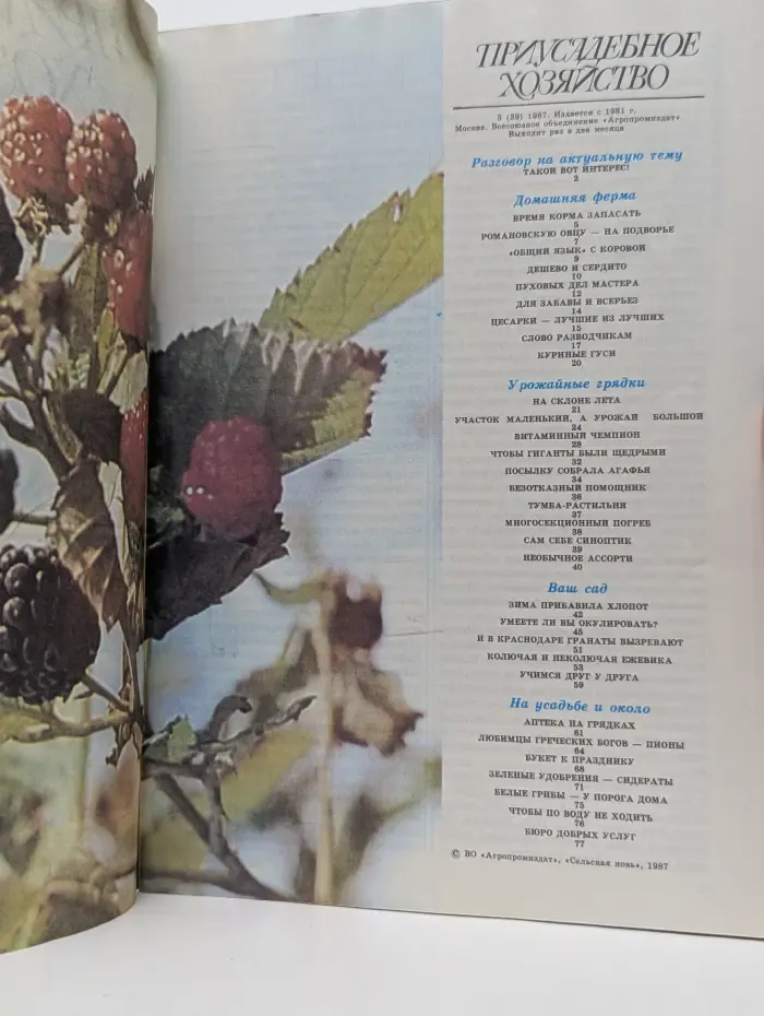 Приусадебное хозяйство. Выпуск № 03/1987